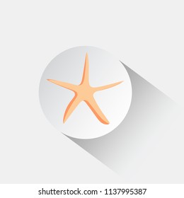 Starfish icon vector design