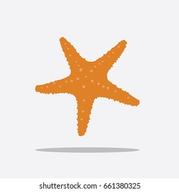 Starfish icon, vector illustration design. 