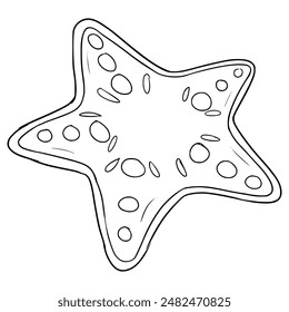starfish illustration hand drawn outline vector