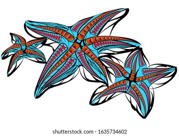 starfish illustration isolated on a white background