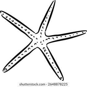 Starfish illustration for ocean-themed packaging eco-friendly branding invitations wall art decorVector illustration