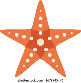 starfish illustration vector icon flat design