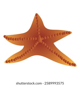 Starfish. Inhabitant of the underwater world. Vector illustration isolated on white background.