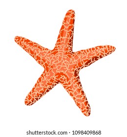 Starfish isolated on white background. Vector illustration.
