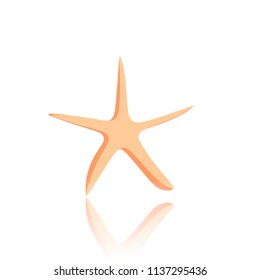 Starfish isolated on white background. Vector design