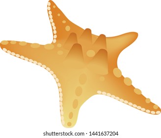 starfish isolated on white background. illustration vector