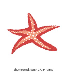 Starfish isolated on white background. Cartoon underwater creature. Flat vector illustration.