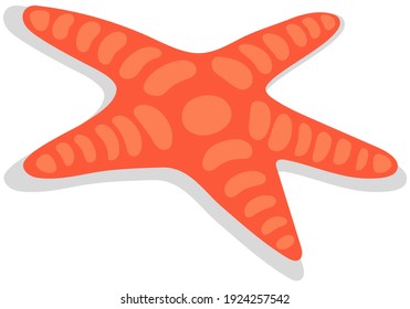 Starfish isolated on white background. Red sea animal for summer design. Five-limbed starfish vector illustration. Representative of oceanic underwater world. Fauna of ocean or sea star-shaped