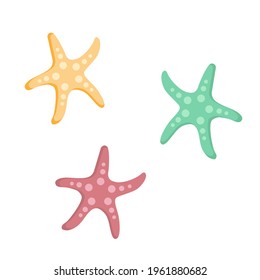 Starfish. Isolated on white background. Vector illustration.