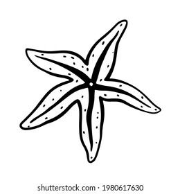Starfish isolated on white background. Vector hand-drawn illustration in doodle style. Perfect for your project, card, logo, decorations.