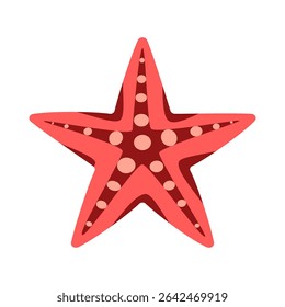 Starfish isolated on white background.