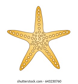 Starfish, isolated on white background, vector illustration
