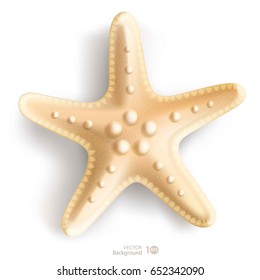 Starfish isolated on white background. Vector eps 10.