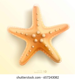 Starfish isolated on white background. Vector eps 10.