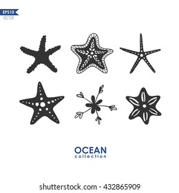 starfish isolated on white, set of different species of starfish, vector illustration