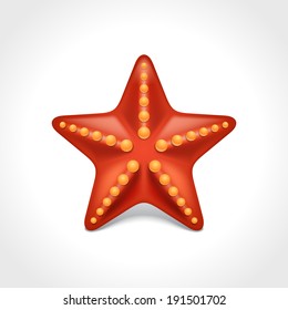 Starfish isolated on white vector illustration 