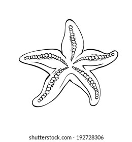 Starfish isolated on white.Drawing style black and white.