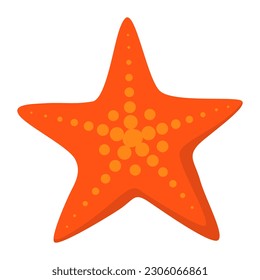 Starfish einzeln, tropischer Strand und Urlaubskonzept