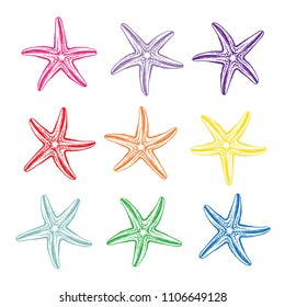 Starfish isolated vector