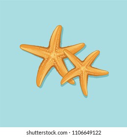 Starfish isolated vector icon design