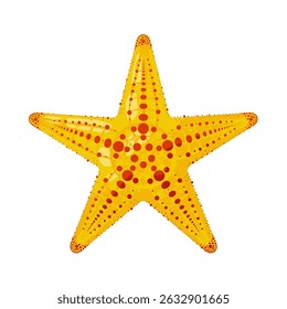 starfish isolated – vector illustration