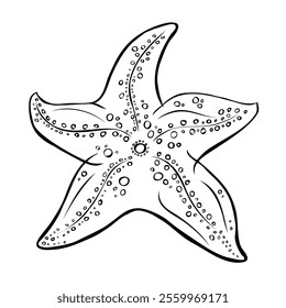 Starfish linha arte ilustração isolada no fundo branco, ilustração caneta de tinta vetorial animal, preto e branco contorno Starfish Coloração página para crianças e adultos, Página para relaxamento e meditação