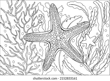 A starfish with little star. Coloring page, hand drawn for relaxation and stress relief. Coloring book for adults and child with doodles, zentangle design elements.
