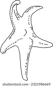 Starfish living in the ocean doodle linear cartoon coloring book