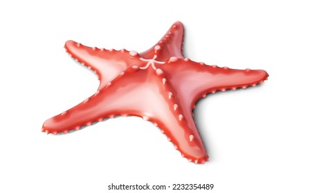 La estrella de mar sobre un fondo blanco. Ilustración del vector