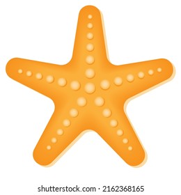 Starfish marine animal. Isolated colors icon