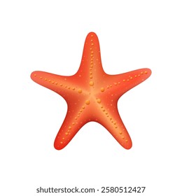 Starfish marine invertebrates, isolated sea star realistic 3d icon. Vector beach decoration, animal with five legs from ocean. Aquatic creature for aquarium or oceanarium design or ecosystem