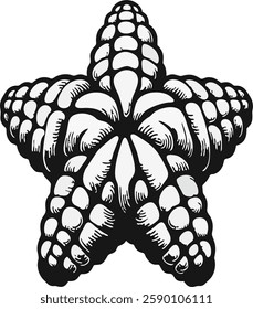 Starfish with meatball texture, five organically shaped arms.