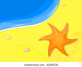 starfish on the beach sand