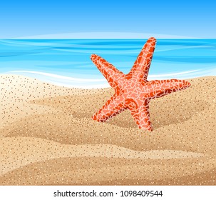 Starfish on the beach. Vector illustration.