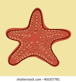 Starfish on the plage vector. Red five-finger. Submersed organism. Subaqueous creature. Undersea world.
