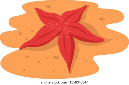 Starfish on the sand, illustration, vector on white background