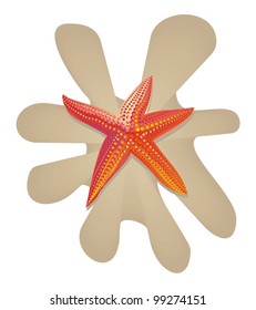 starfish on sand isolated on white
