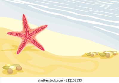 Starfish on the sandy beach. Vector