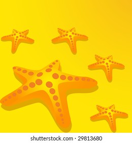 starfish on a sandy yellow background