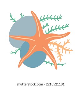 Starfish on seabed with rocks and algae. Decoration of water and ocean. Flat cartoon illustration isolated on white