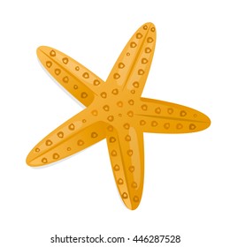 Starfish on a white background