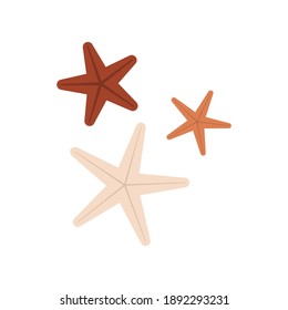 Starfish on a white background. flat illustration. Hand graphics