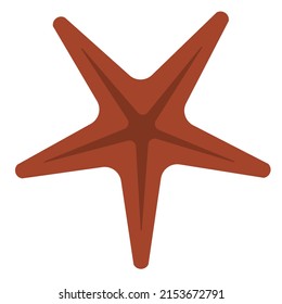 Starfish on a white background. flat vector illustration. Hand graphics