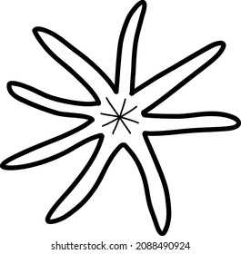 Starfish en un fondo blanco. Ilustración vectorial al estilo de un doodle