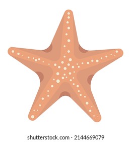 Starfish on a white background. vector illustration