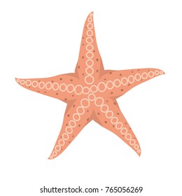 Starfish on white background vector illustration