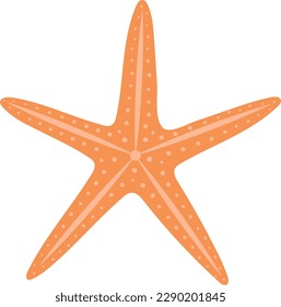 Starfish orange cartoon vector illustration