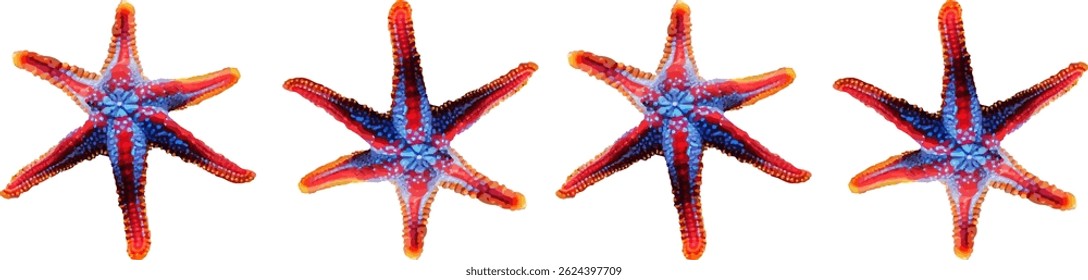 Seestern-Orange im Meer