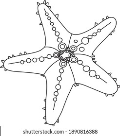 Starfish outline on white background. Vector illustration