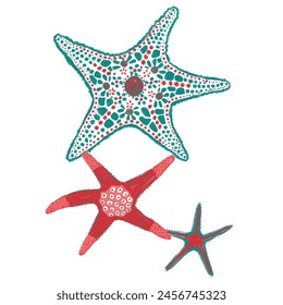 starfish pattern. fashion and more